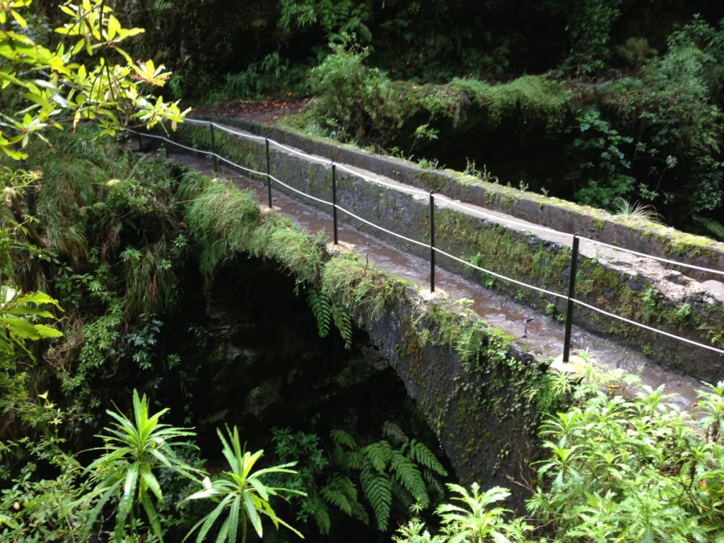 Steinbrücke im Dschungel