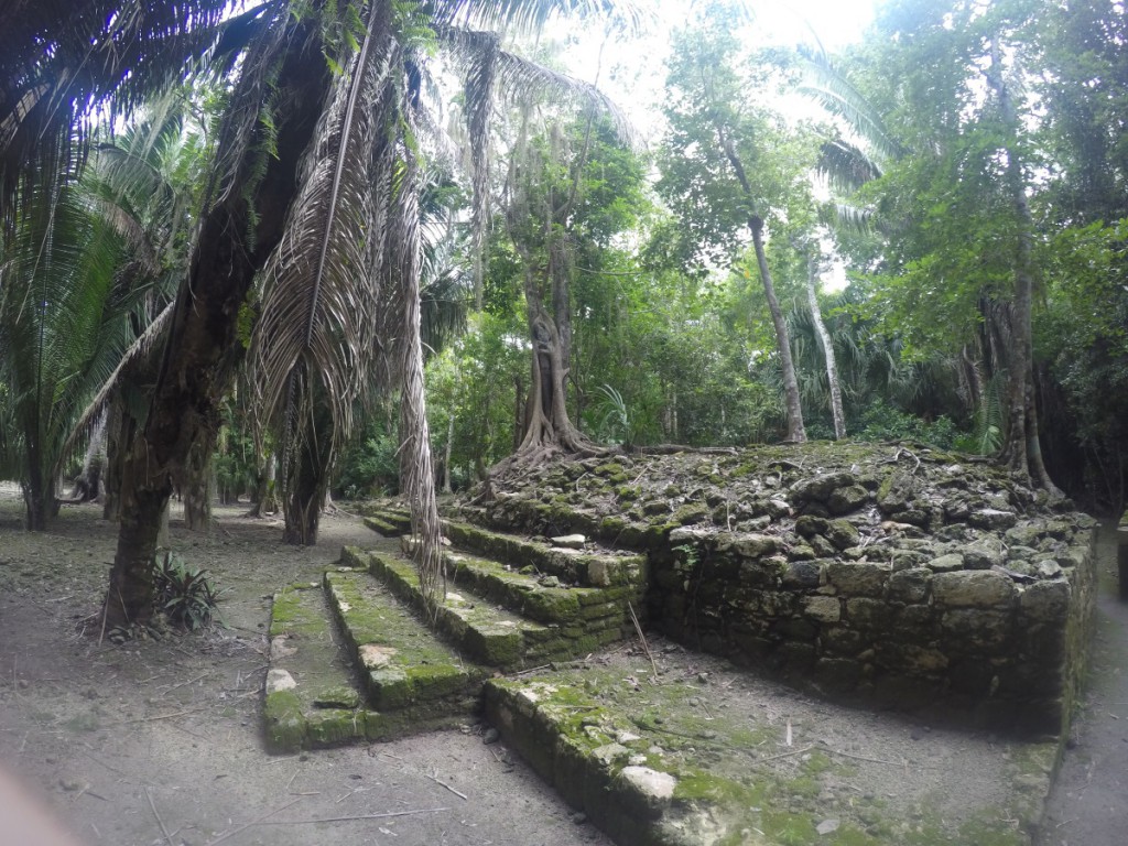 Chacchoben Ruine im Dschungel