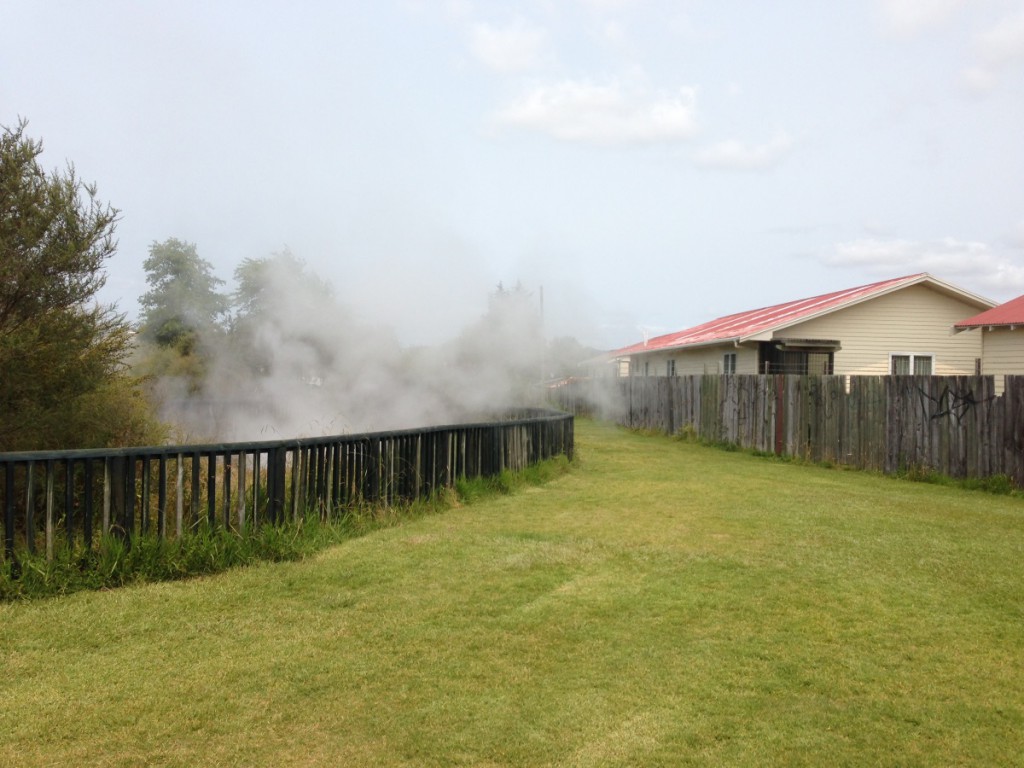 Geothermal Parks, Rotorua