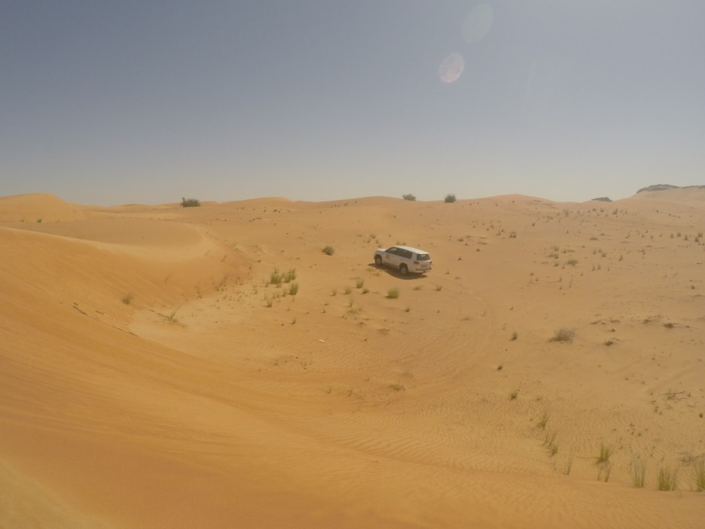 Blick auf Wüste