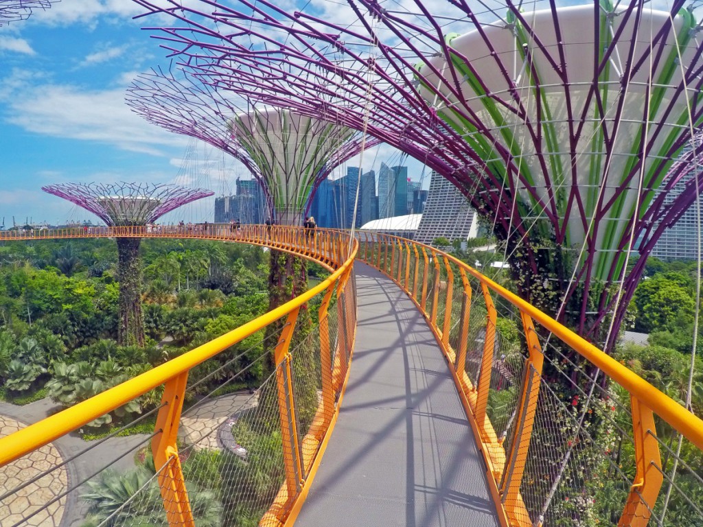 Treetop Walk in Singapur