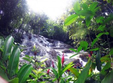 Ocho Rios Wasserfalltour (Jamaika)