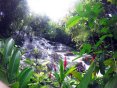 Ocho Rios Wasserfalltour (Jamaika)