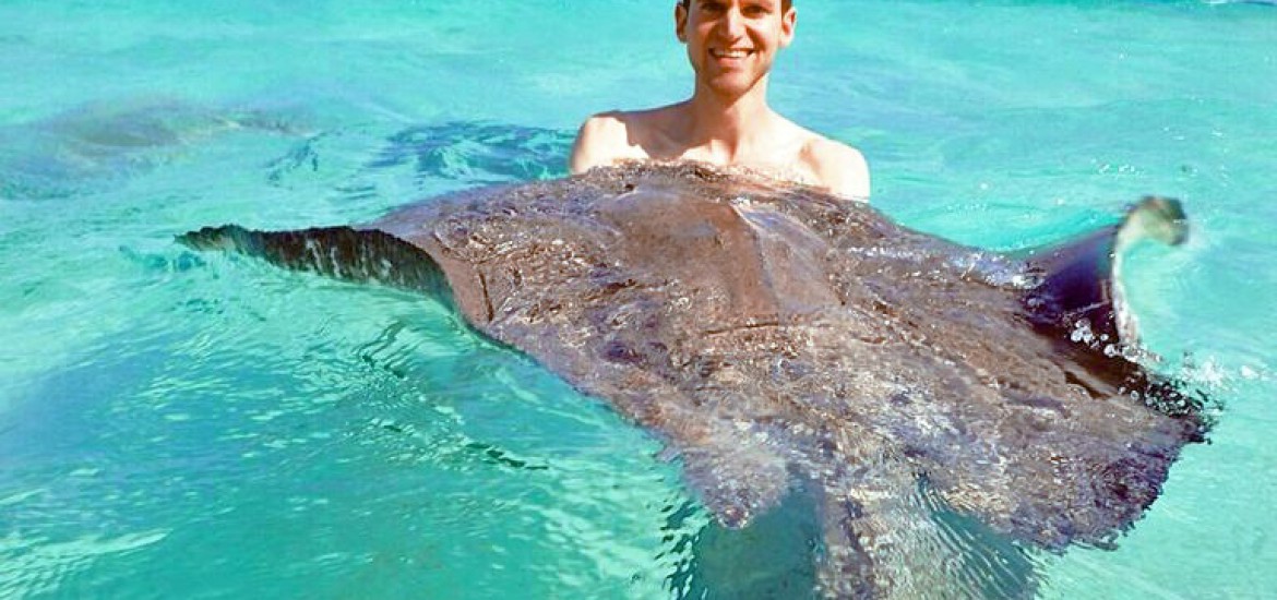 Mit Rochen schwimmen – auf Grand Cayman (George Town)