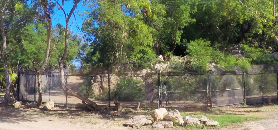 Die Wahrheit über Labadee, Haiti – schlechtes Gewissen oder nicht?