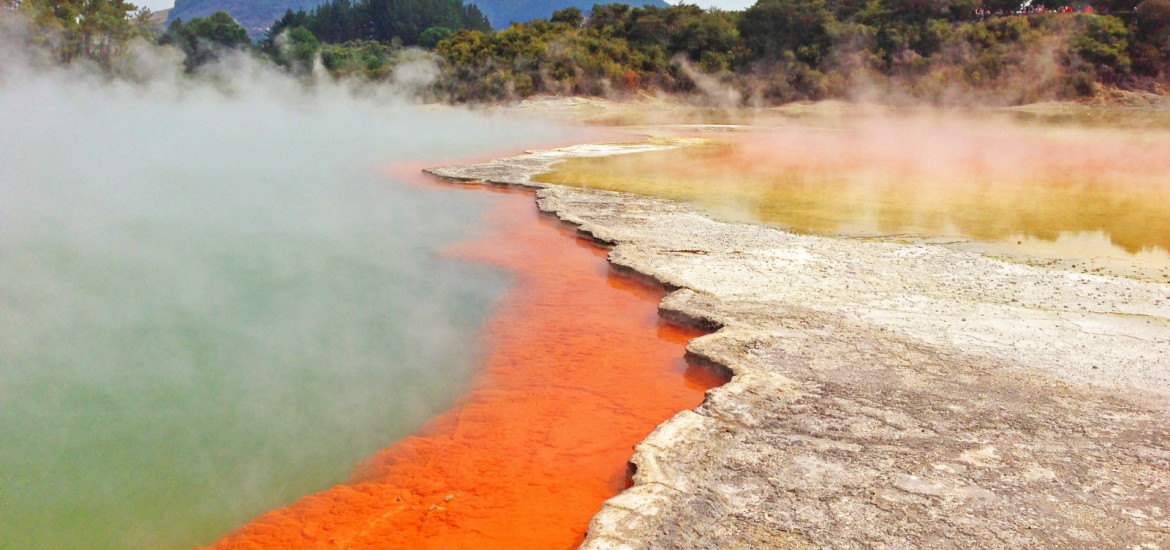 Tauranga mit Abstecher zu den Parks nach Rotorua