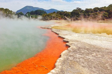Tauranga mit Abstecher zu den Parks nach Rotorua