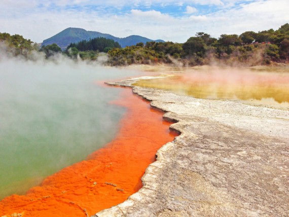 Tauranga mit Abstecher zu den Parks nach Rotorua