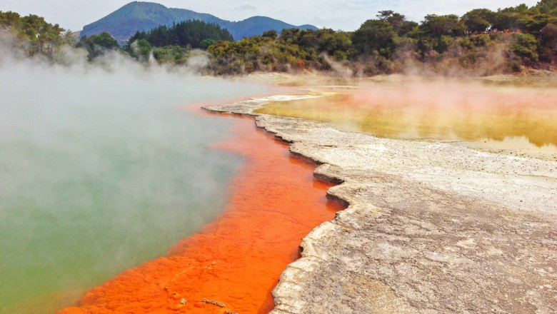 Tauranga mit Abstecher zu den Parks nach Rotorua