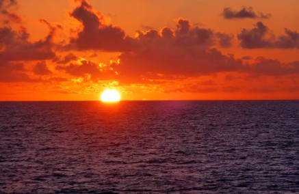 Wie „überlebt“ man 68 Seetage an Bord eines Kreuzfahrtschiffes?