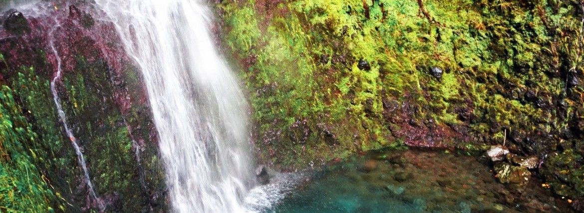 Madeira Kreuzfahrt Landgang – Wanderung in die grüne Hölle (Caldeirao Verde)