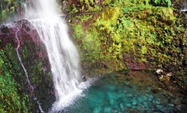 Madeira Kreuzfahrt Landgang – Wanderung in die grüne Hölle (Caldeirao Verde)