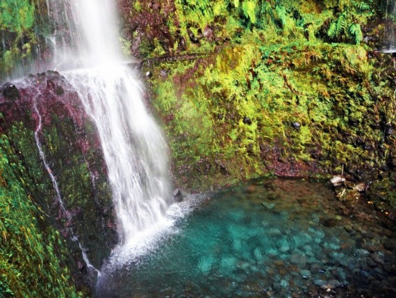 Madeira Kreuzfahrt Landgang – Wanderung in die grüne Hölle (Caldeirao Verde)