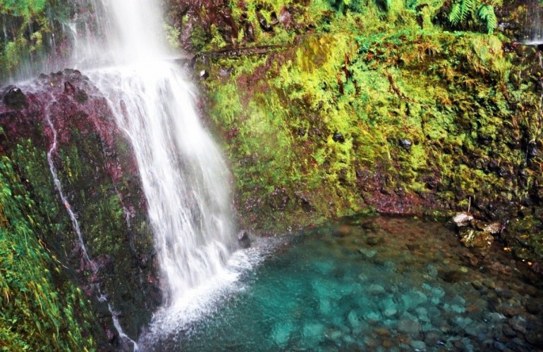 Madeira Kreuzfahrt Landgang – Wanderung in die grüne Hölle (Caldeirao Verde)