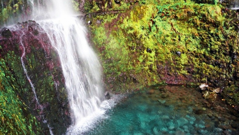 Madeira Kreuzfahrt Landgang – Wanderung in die grüne Hölle (Caldeirao Verde)