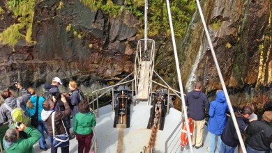 Milford Sound per Kreuzfahrtschiff – Scenic Cruising