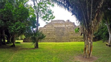 Chacchoben Ruinen Tour ab Costa Maya Mahahual Kreuzfahrthafen