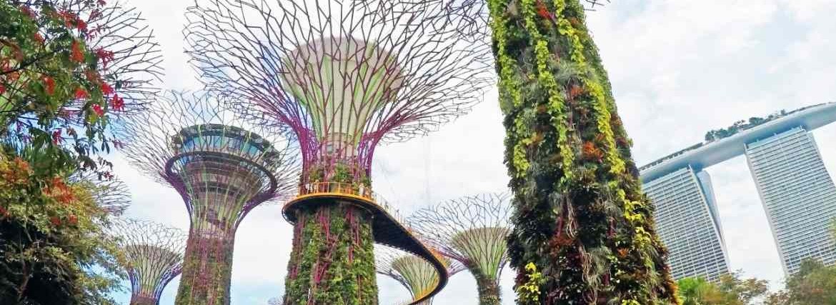 Tree Top Walk – um die Ecke vom Singapur Kreuzfahrthafen