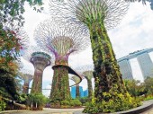 Tree Top Walk – um die Ecke vom Singapur Kreuzfahrthafen