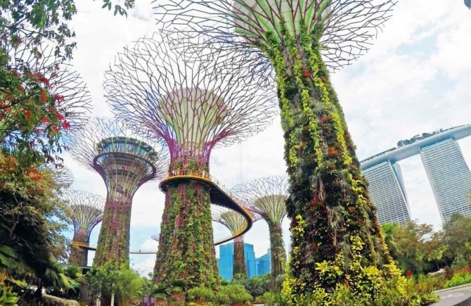 Tree Top Walk – um die Ecke vom Singapur Kreuzfahrthafen