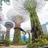 Tree Top Walk – um die Ecke vom Singapur Kreuzfahrthafen