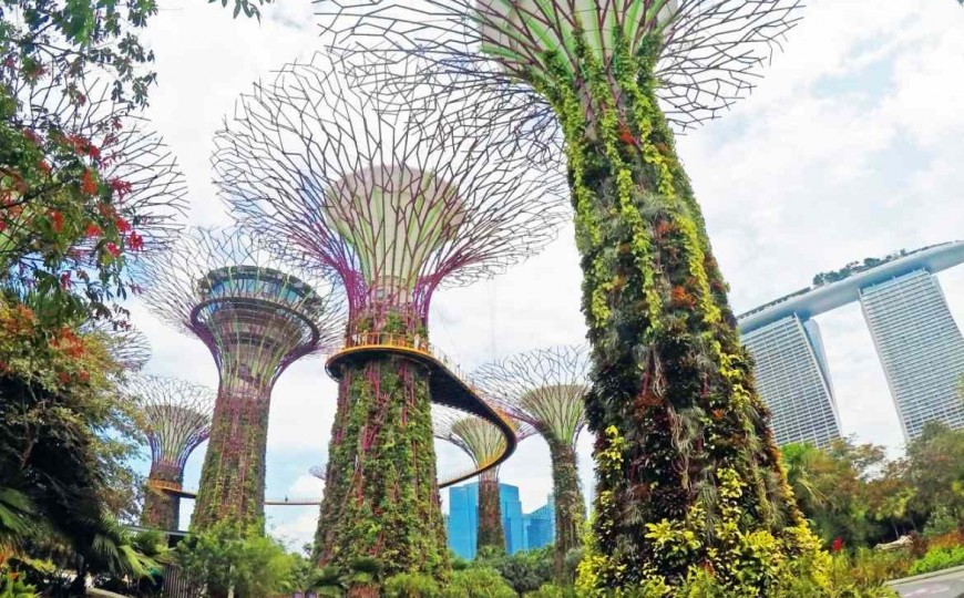 Tree Top Walk – um die Ecke vom Singapur Kreuzfahrthafen