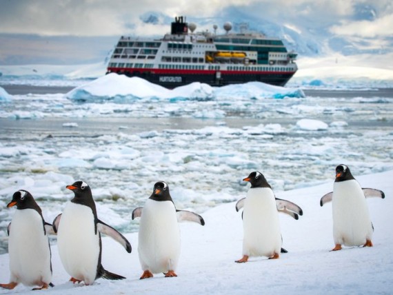 Arktis Kreuzfahrten mit Hurtigruten