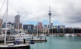 Auckland – Vom Kreuzfahrthafen in die Innenstadt