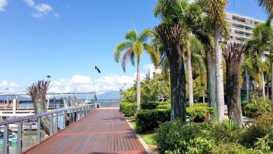 Cairns – vom Kreuzfahrthafen in die Stadt/Marina