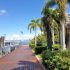 Cairns – vom Kreuzfahrthafen in die Stadt/Marina