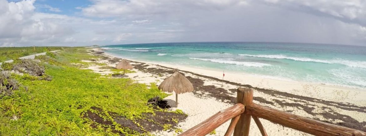 Cozumel – Wie kommt man vom Kreuzfahrthafen in die Stadt?