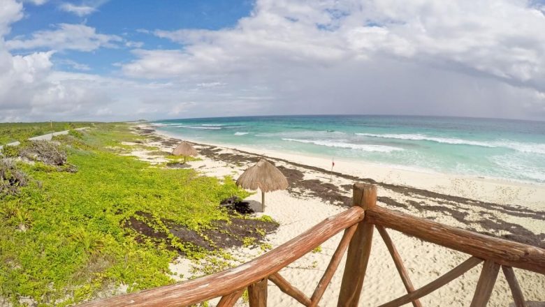 Cozumel – Wie kommt man vom Kreuzfahrthafen in die Stadt?