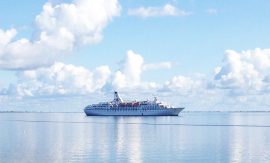 Mit Haustier auf Kreuzfahrt – darf man das?