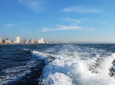 Vom Kreuzfahrthafen Durban zu den sehenswerten Plätzen