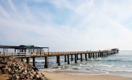 Vom Kreuzfahrthafen Walvis Bay (Namibia) zu den Sehenswürdigkeiten