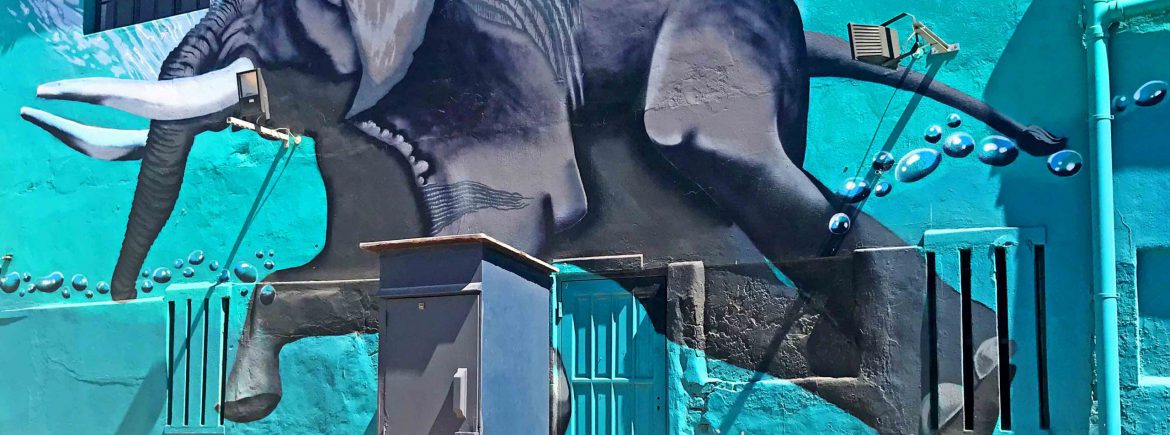 Kapstadt – ins Herz der schönsten Stadt der Welt