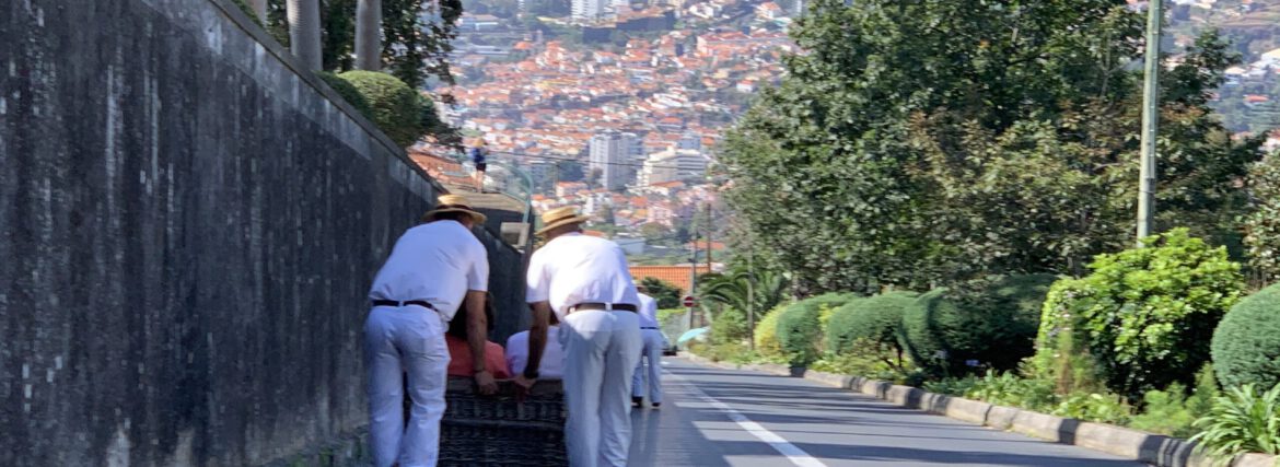 Madeira – 5 Dinge, die du auf jedem Kreuzfahrt-Landgang machen solltest