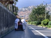 Madeira – 5 Dinge, die du auf jedem Kreuzfahrt-Landgang machen solltest