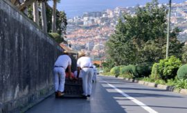 Madeira – 5 Dinge, die du auf jedem Kreuzfahrt-Landgang machen solltest