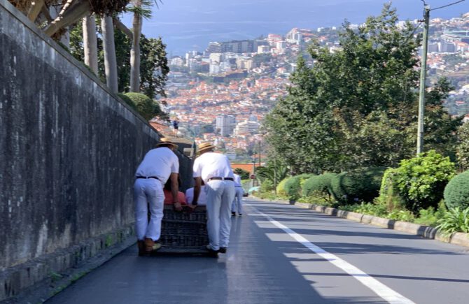 Madeira – 5 Dinge, die du auf jedem Kreuzfahrt-Landgang machen solltest