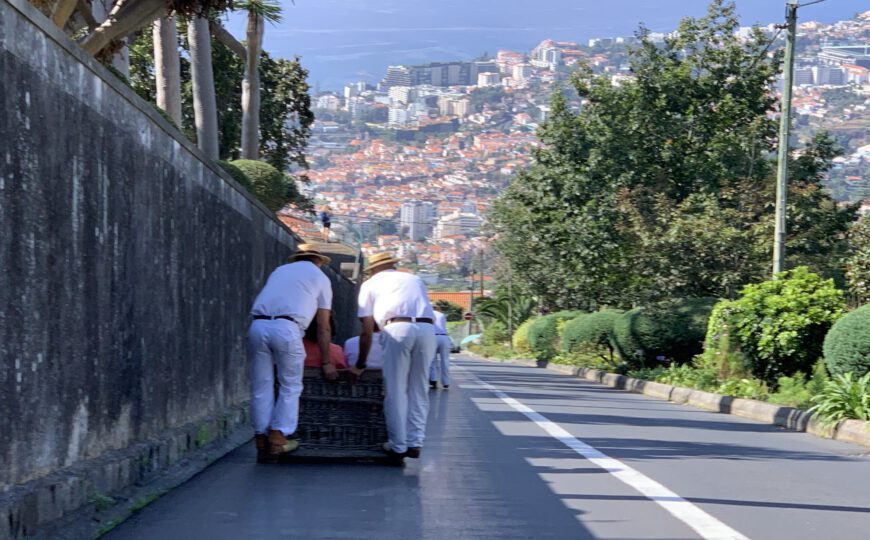 Madeira – 5 Dinge, die du auf jedem Kreuzfahrt-Landgang machen solltest