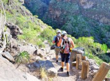 Barranco del Infierno (ab Santa Cruz Kreuzfahrthafen)