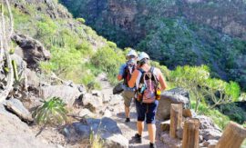 Barranco del Infierno (ab Santa Cruz Kreuzfahrthafen)