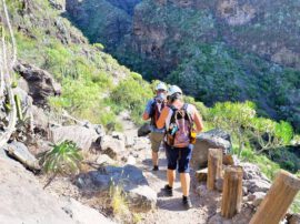 Barranco del Infierno (ab Santa Cruz Kreuzfahrthafen)