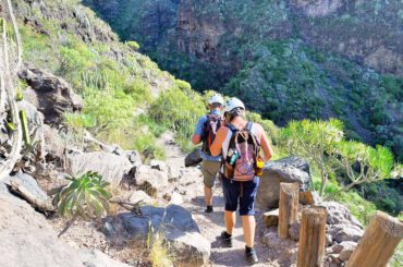 Barranco del Infierno (ab Santa Cruz Kreuzfahrthafen)