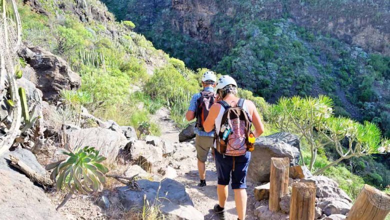 Barranco del Infierno (ab Santa Cruz Kreuzfahrthafen)