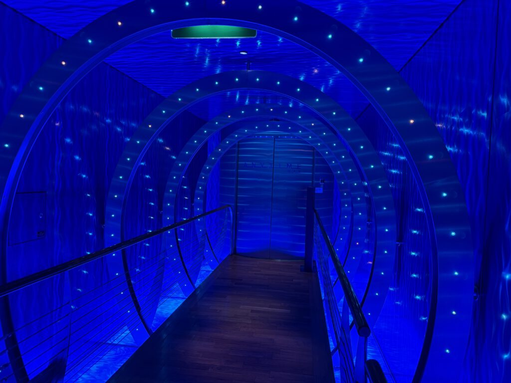 AIDA Sol Diskothek Anytime