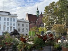 Wochenende in Lübeck – Mein Reisevorschlag für Genuss, Geschichte und maritimes Flair