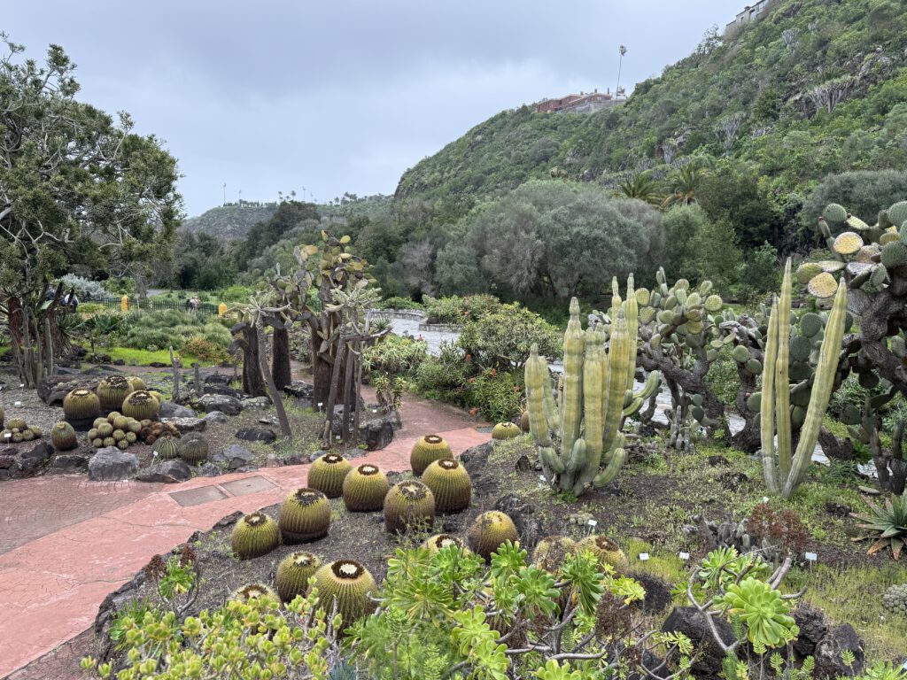 Jardin Botanico Gran Canaria