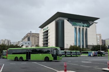 Wie kommt man vom Flughafen Teneriffa zum Kreuzfahrthafen Santa Cruz?